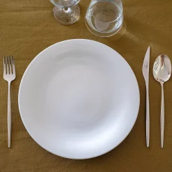 Assiette plate en porcelaine qualité hôtelière D27cm - blanc