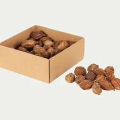 Boite de 20 fruits secs déco - D10xP4,5cm naturel