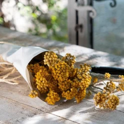 Botte de lona séchée 35cm - jaune