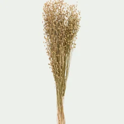 Botte de Passerages séchées H55cm - jaune