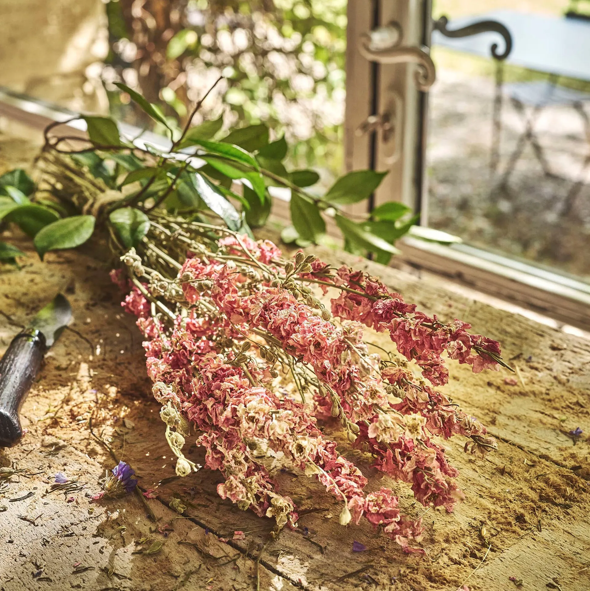 Botte de rhodantes séchées 50cm - rose