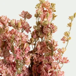 Bottes de dauphinelles séchées 55cm - rose