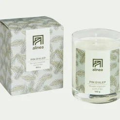 Bougie parfumée senteur Pin d'Alep 160g