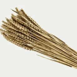 Bouquet de blé séché H55cm - doré