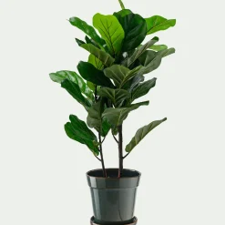 Cache-pot et sa coupelle en céramique D17cm - vert