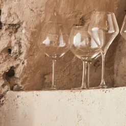 Coffret de 6 coupes à champagne en verre 24cl - transparent