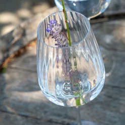 Coffret de 6 verres à pied tulipe en cristallin 45cl - transparent