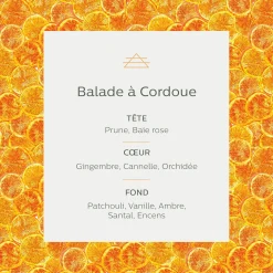 Diffuseur de parfum senteur Balade à Cordoue 150ml