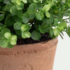 Eucalyptus artificiel en pot H45cm - vert