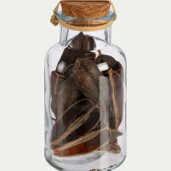 Flacon déco végétaux séchés - transparent (modèle aléatoire)