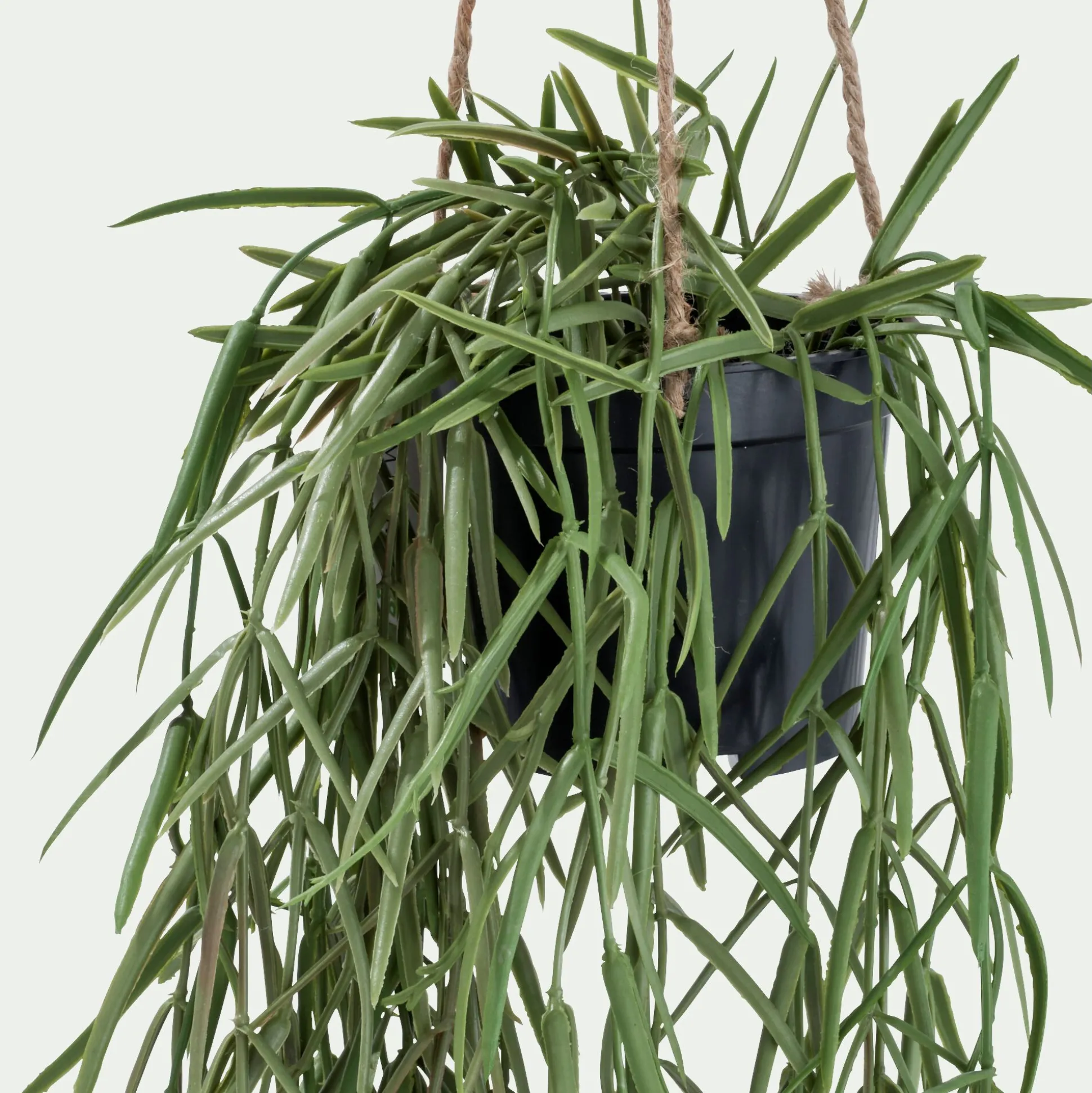 Hoya artificiel H80cm - vert