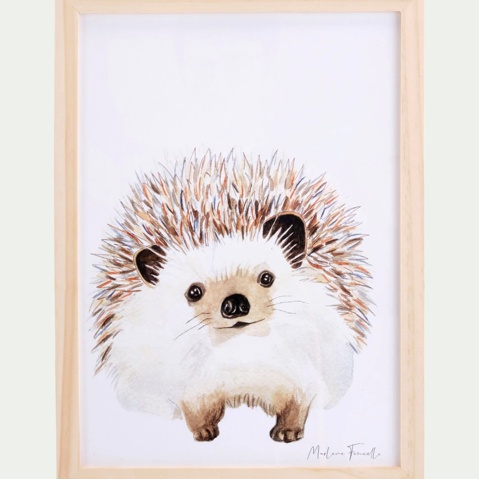 Image aquarelle encadrée Hérisson - A4