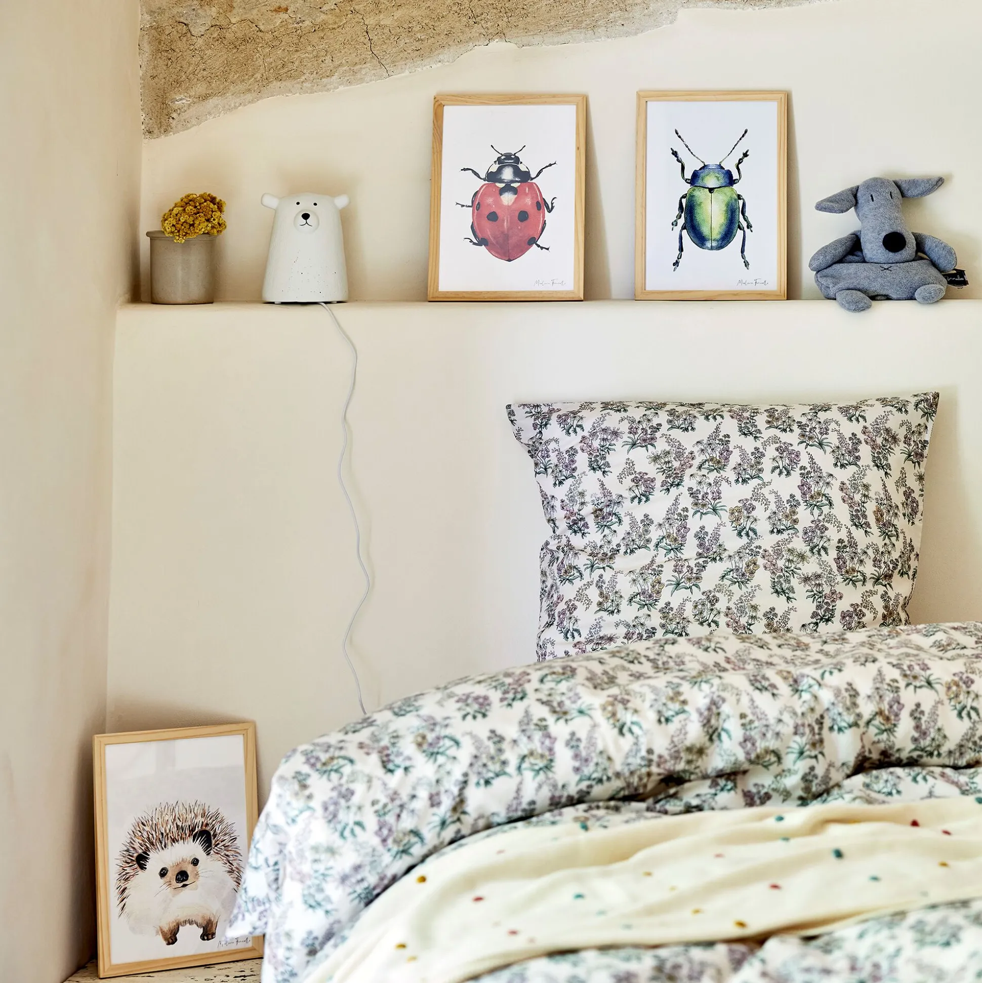 Image aquarelle encadrée Hérisson - A4