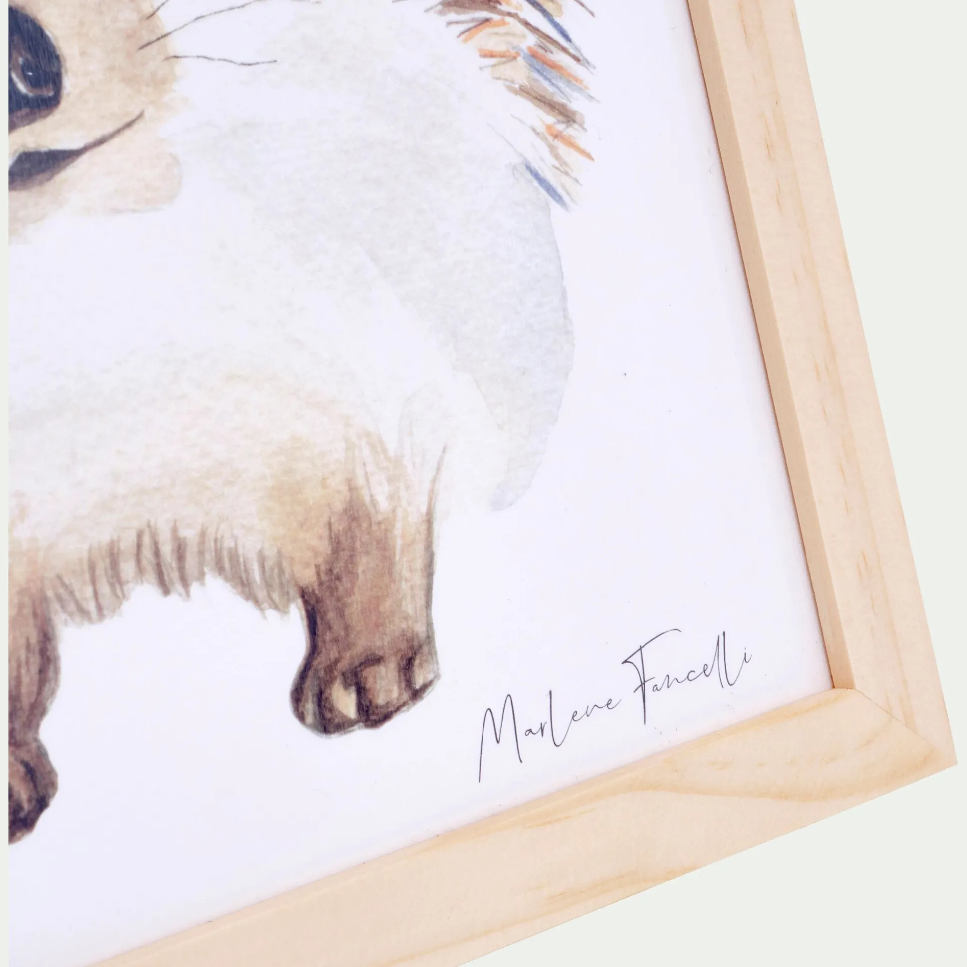 Image aquarelle encadrée Hérisson - A4