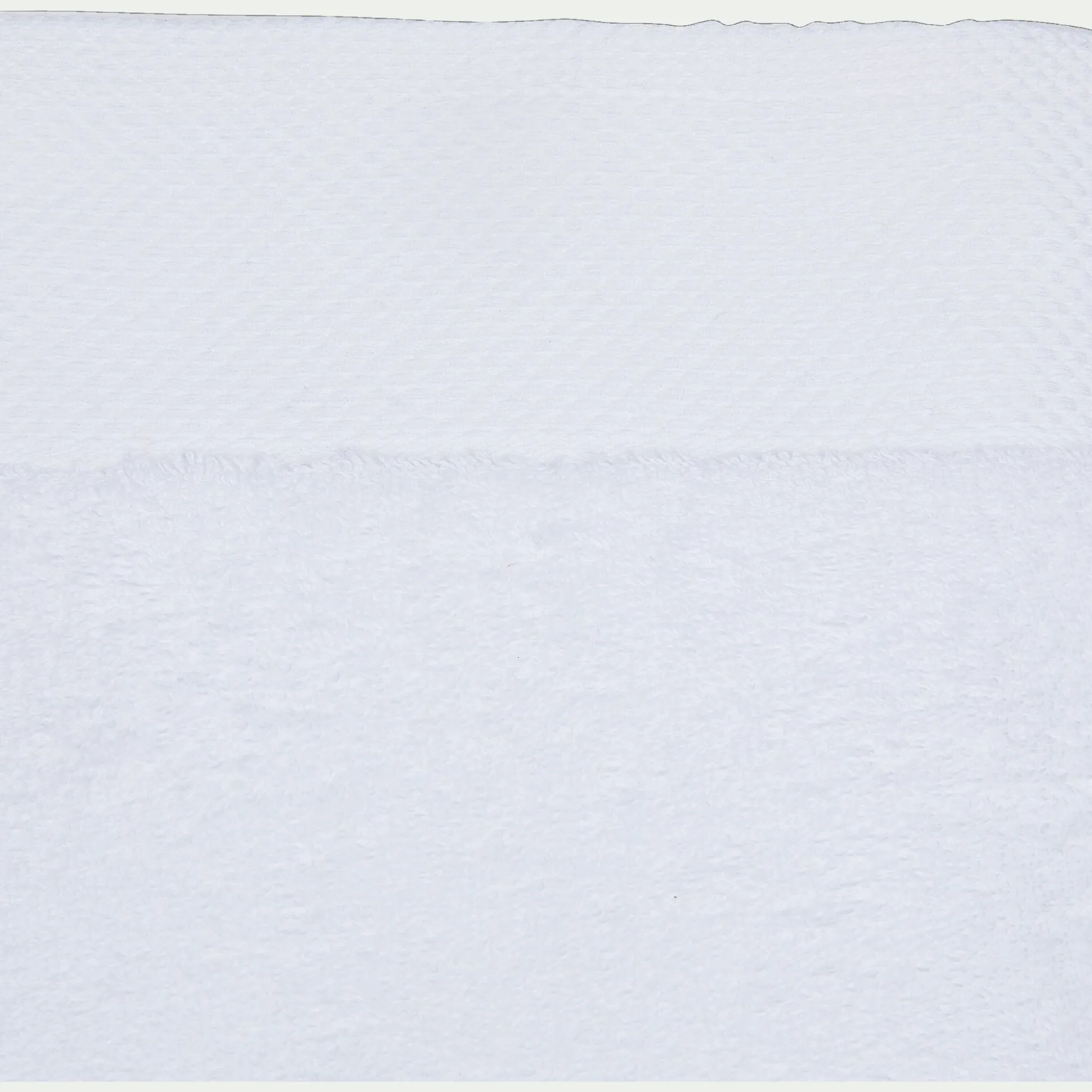 Lot de 2 gants de toilette en coton peigné - blanc optique