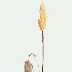 Pampa LED électrique H70cm - beige (modèle aléatoire)