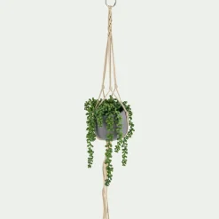 Succulente suspendue artificielle - vert H73cm