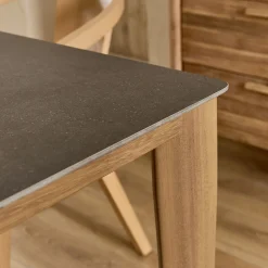 Table de repas rectangulaire en pierre et acier - gris anthracite (10 places)