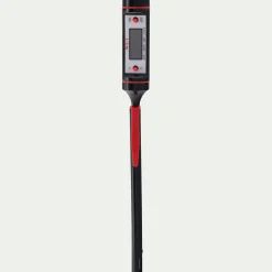 Thermomètre de cuisine digital électronique à sonde en inox - argenté métallisé