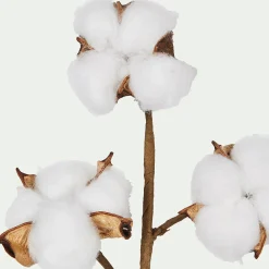 Tige artificielle de coton - blanc H19cm
