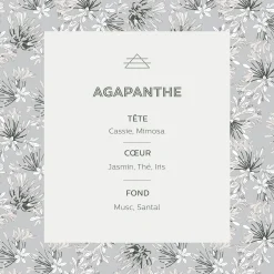Vaporisateur senteur Agapanthe 100ml